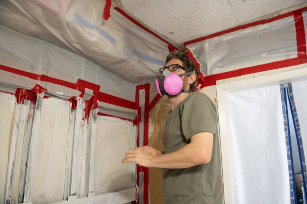  Buhl, MN Mold Removal Pros