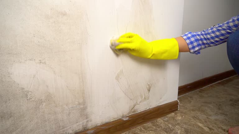 Best Asbestos and Lead Testing During Mold Inspection  in Buhl, MN
