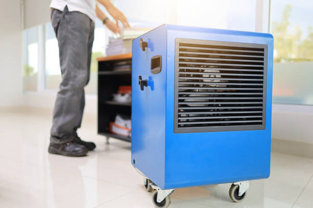 Best Commercial Mold Inspection  in Buhl, MN