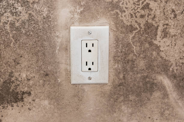 Best Mold Odor Removal Services  in Buhl, MN